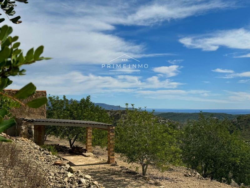 Finca rústica en venta El Perelló, Tarragona. Ref: 1112. PRIME INMO