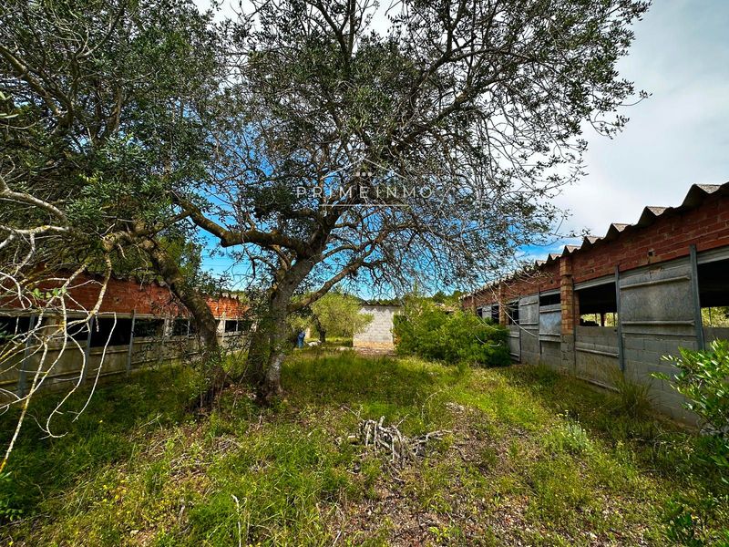 Finca rústica en venta L