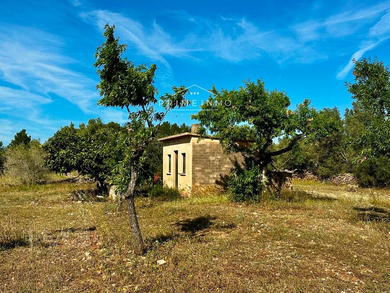 Finca rústica en venta L