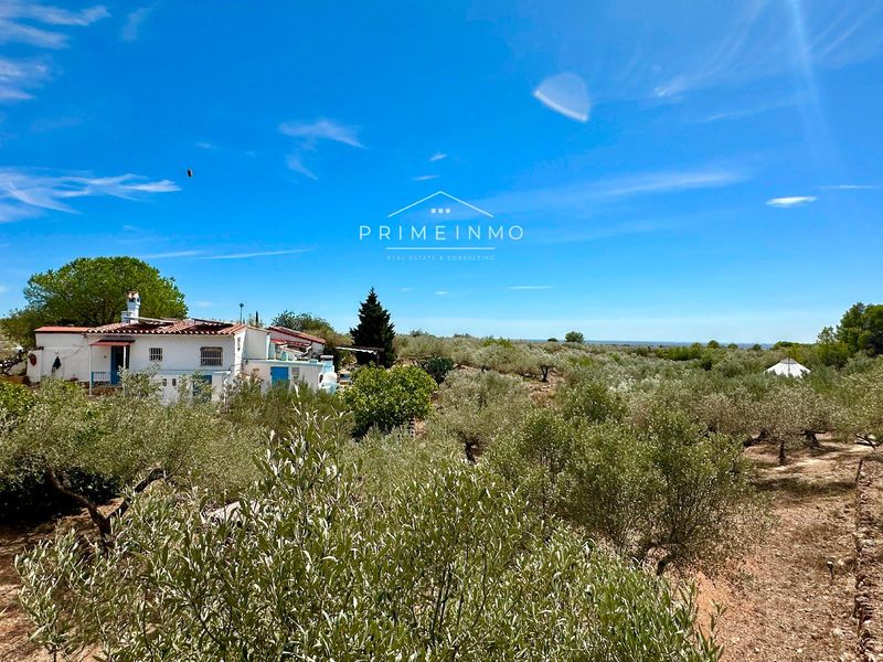 Mas en vente Camarles, Tarragona. Ref: 1153. PRIME INMO