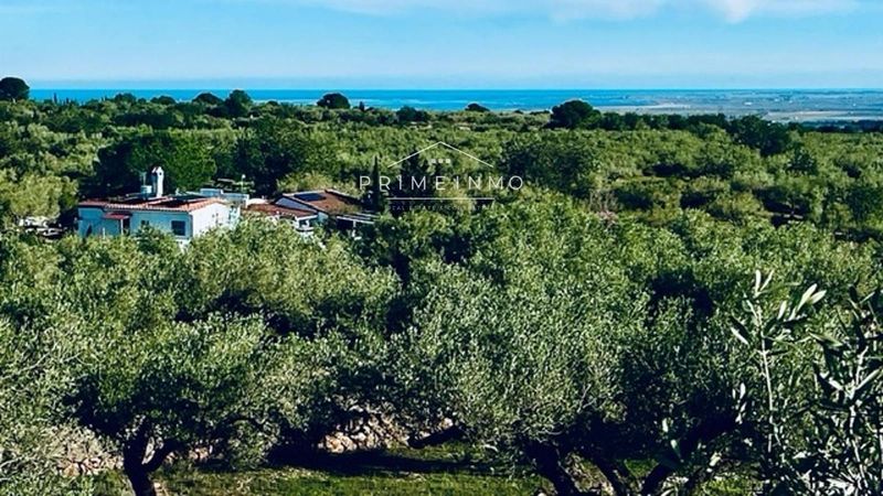 Farmhouse for sale Camarles, Tarragona. Ref: 1153. PRIME INMO