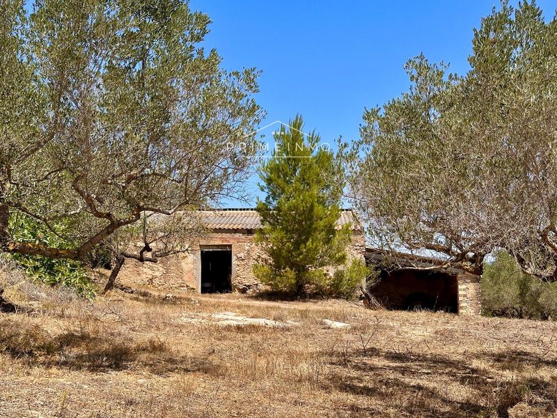 Masía en venta L