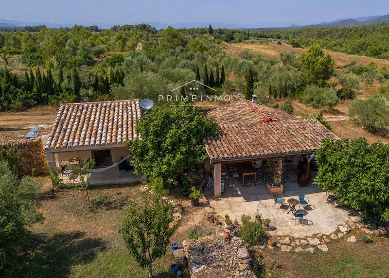 Masía en venta El Perelló, Tarragona. Ref: 1176. PRIME INMO