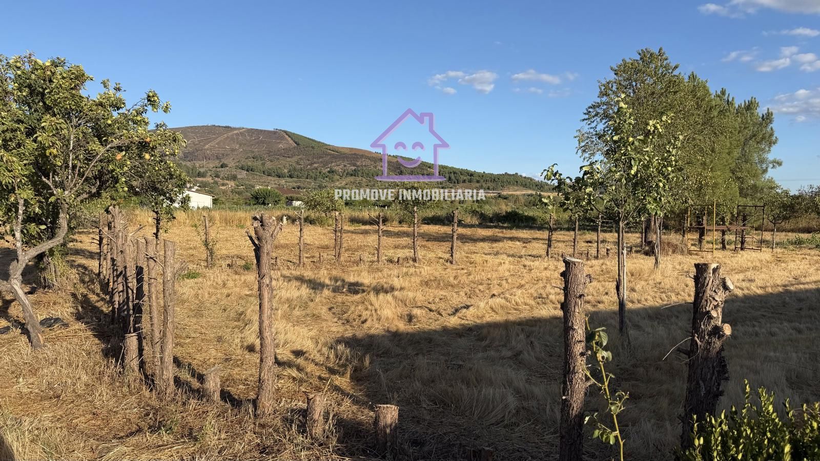 FIN DE SEMANA EN QUEIZAS VERIN - Foto 17