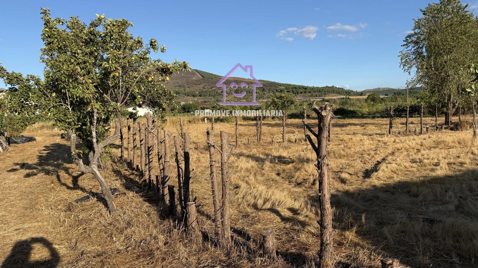 FIN DE SEMANA EN QUEIZAS VERIN - Foto 18