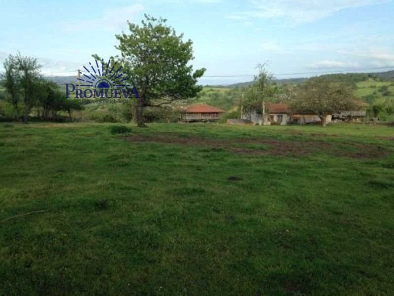 Parcela en venta Grado, Asturias. Ref: 1058. Promueva Agencia