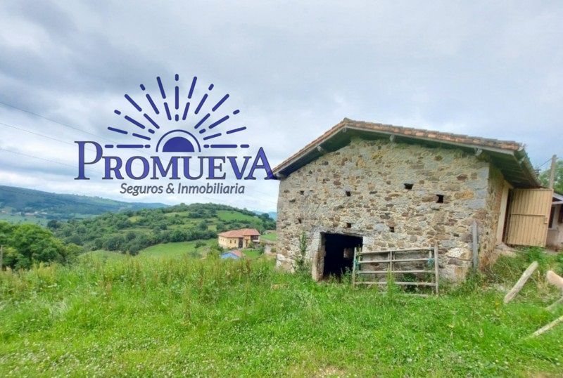 Parcela en venta Grado, Asturias. Ref: 1104. Promueva Agencia