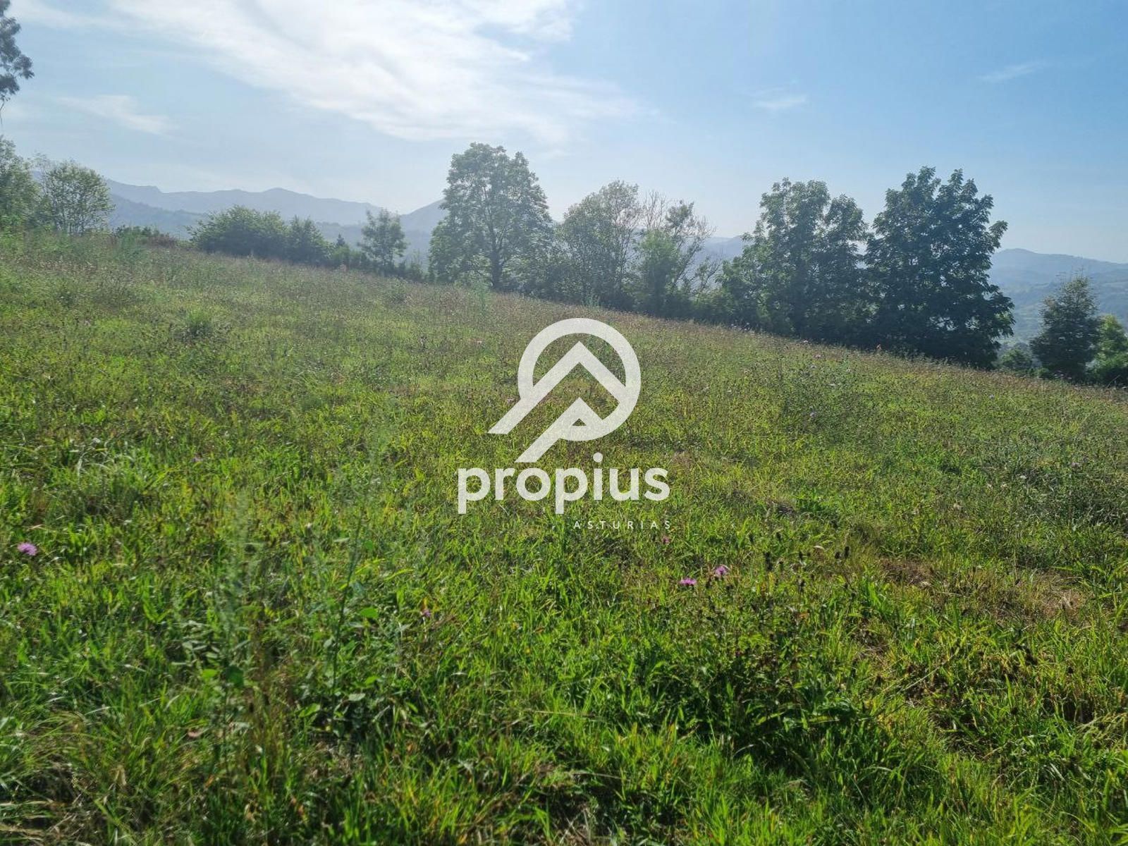 Parcela en venta Parres, Asturias. Ref: 1801. PROPIUS