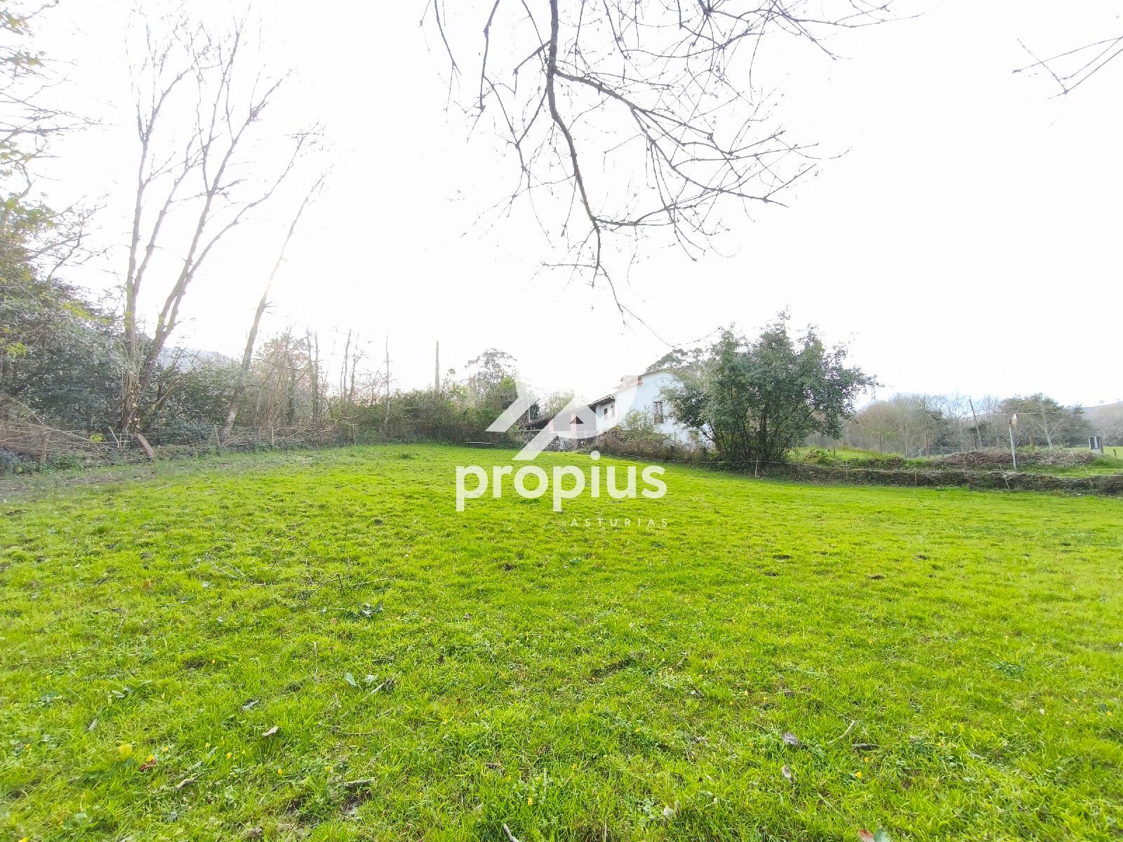 Parcela en venta Llanes, Asturias. Ref: 1883. PROPIUS