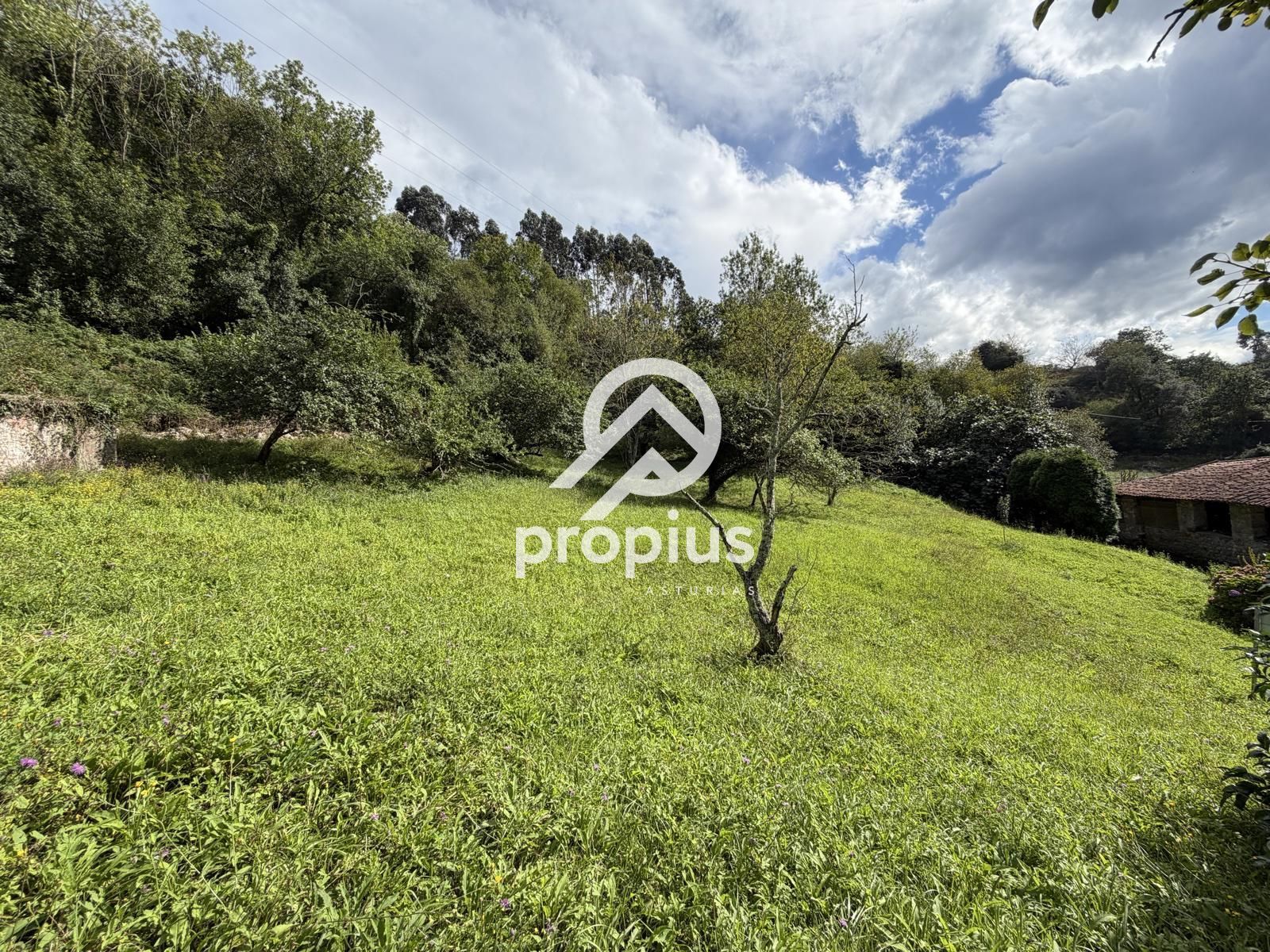Parcela en venta Ribadesella, Asturias. Ref: 1956. PROPIUS