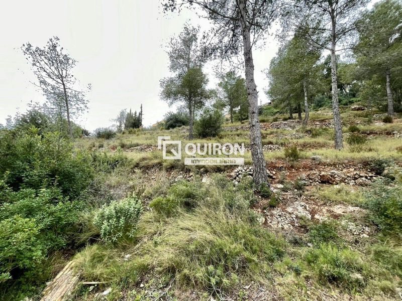 Parcela en venta La Bisbal del Penedes, Tarragona. Ref: 2166. Quiron immobiliaria