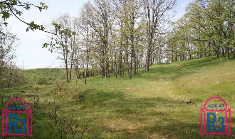 Parcela Rústica en venta Garrafe De Torio, León. Ref: 10836. Inmobiliaria R3