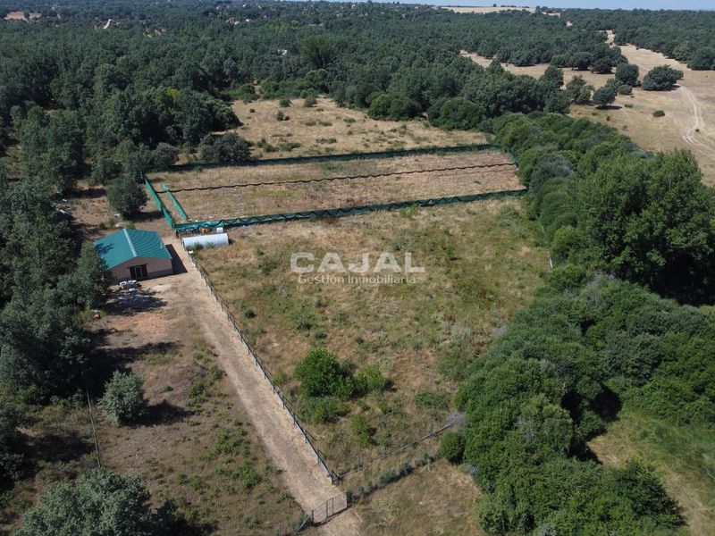 Parcela en venta Fresno De Cantespino, Segovia. Ref: 1466. Cajal Gestión Inmobiliaria