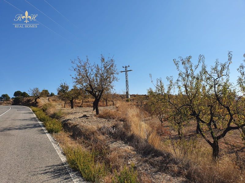 Parcela en venta Relleu, Alicante. Ref: 1741. Real Homes