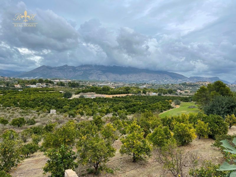 Parcela en venta Alfaz del Pi, Alicante. Ref: 1995. Real Homes