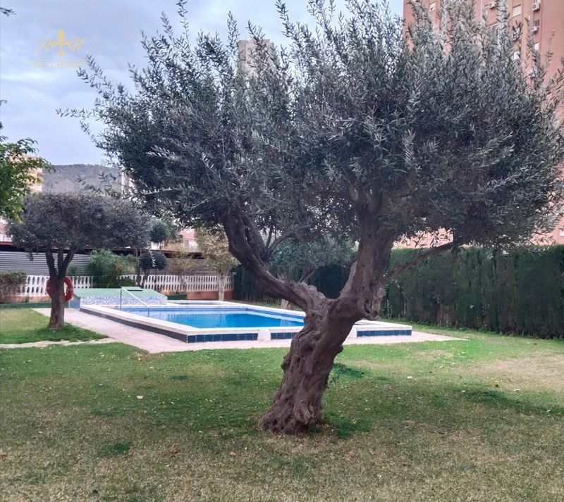 Piso en venta Benidorm, Alicante. Ref: 2748. Real Homes