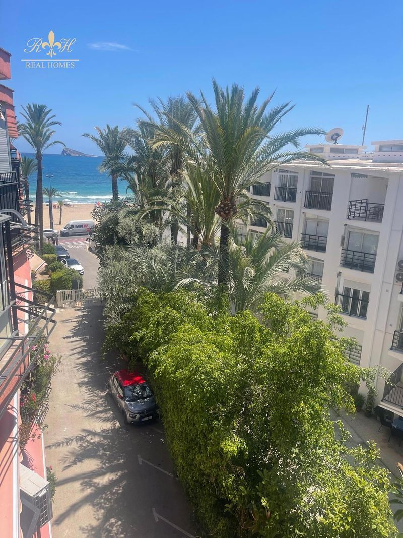 Leilighet til leie Benidorm, Alicante. Ref: 2857. Real Homes