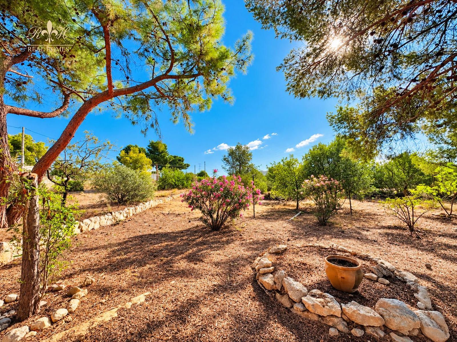 Chalet independiente de una sola planta para reformar en Benidorm - Foto 11