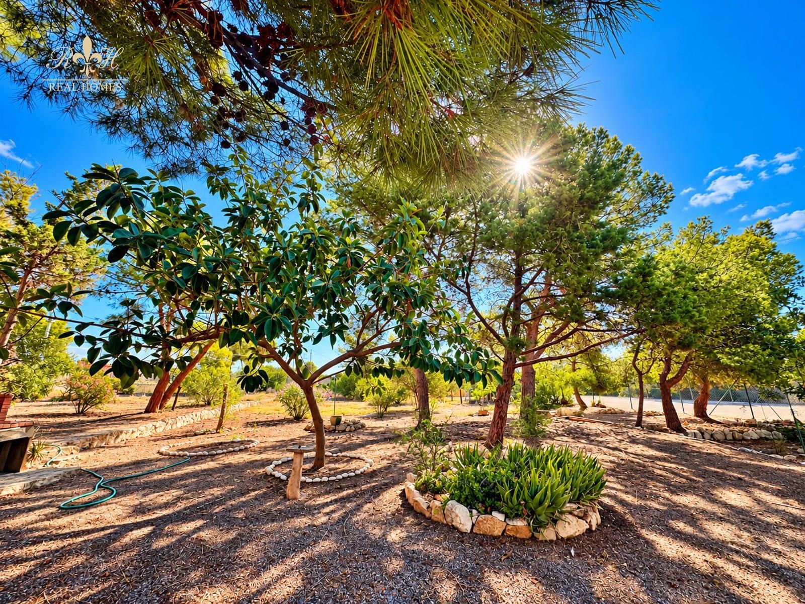 Chalet independiente de una sola planta para reformar en Benidorm - Foto 12