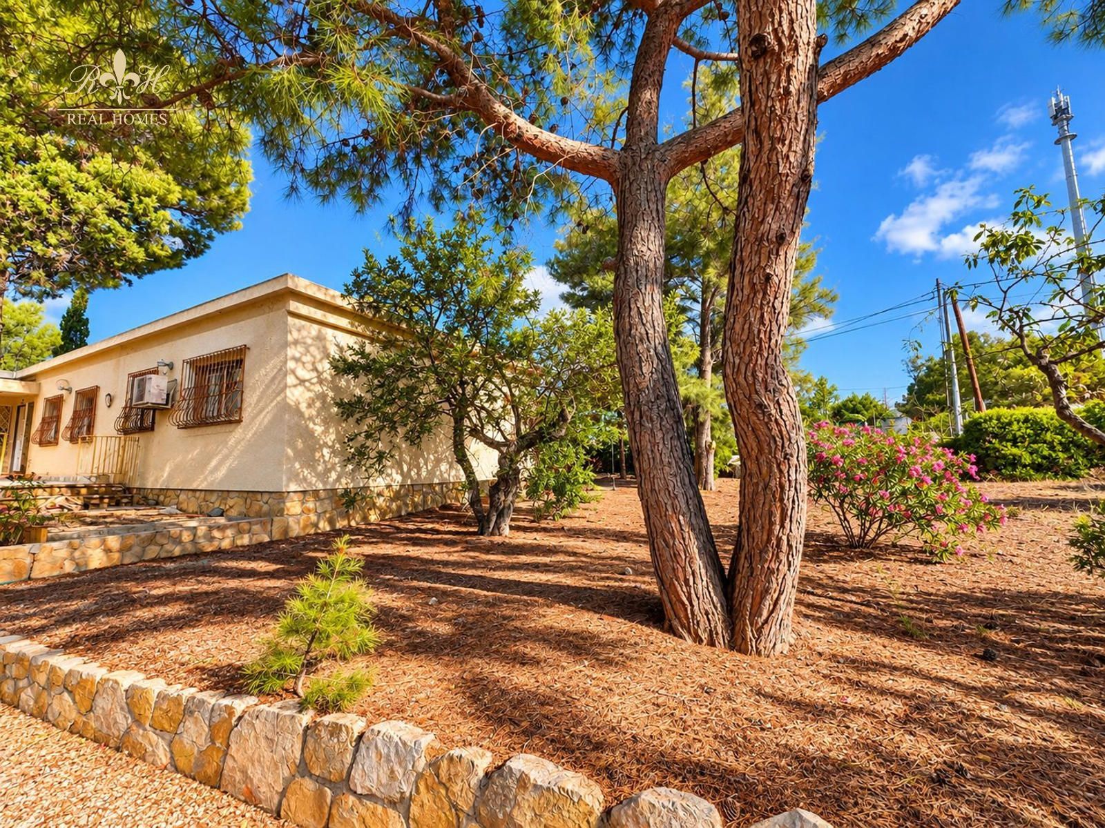 Chalet independiente de una sola planta para reformar en Benidorm - Foto 4