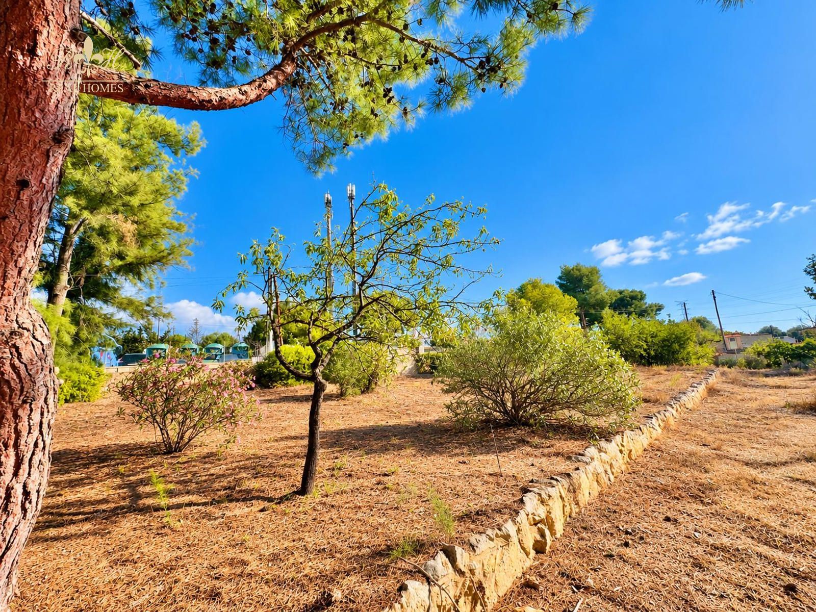 Chalet independiente de una sola planta para reformar en Benidorm - Foto 13