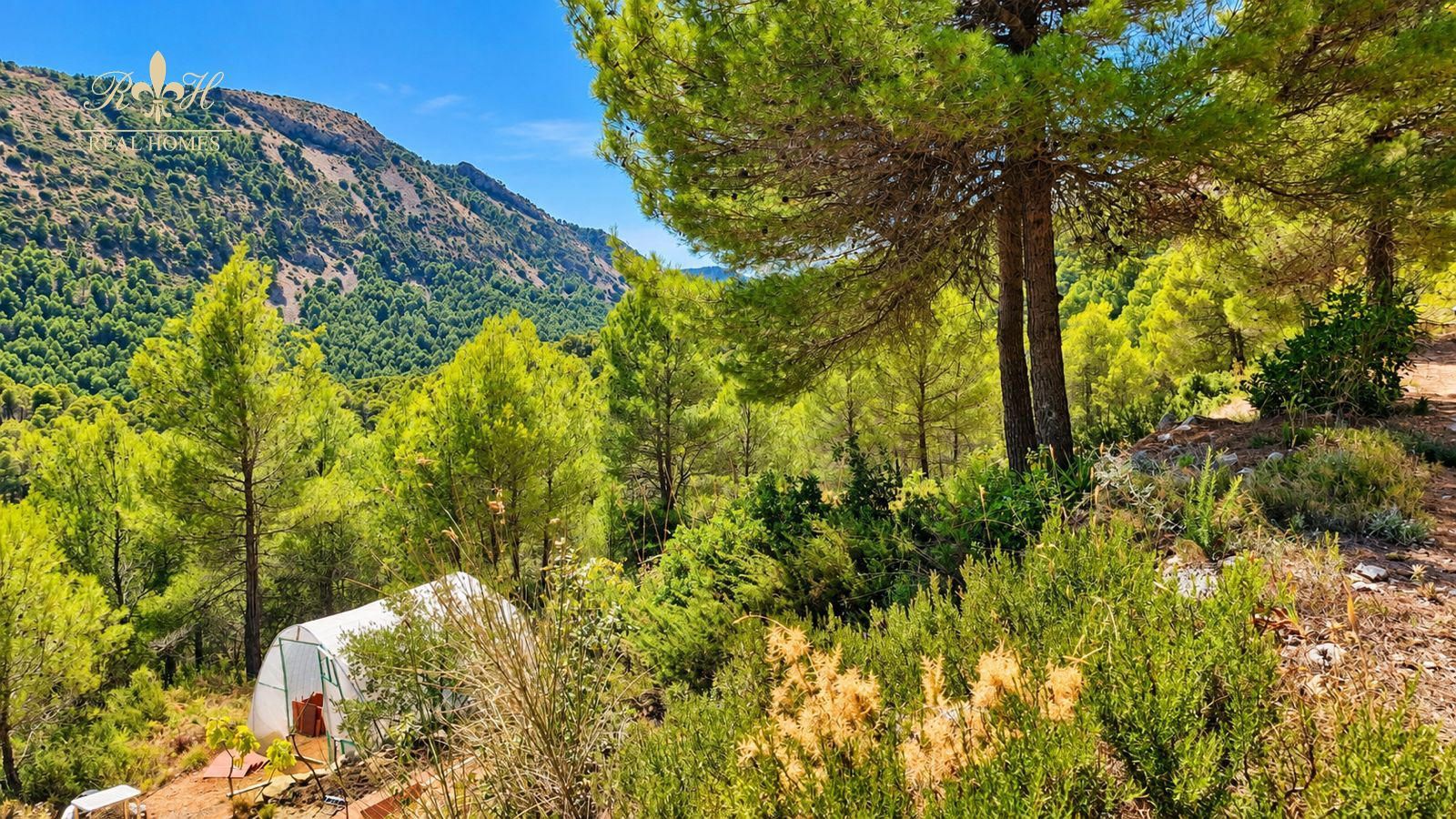 Casa de montaña con encanto en la Serrella (Confrides) - Foto 8