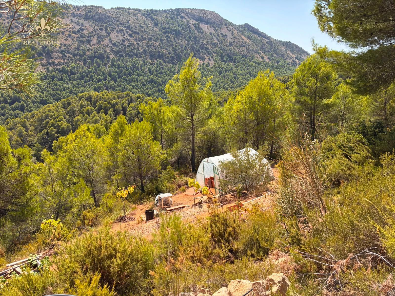 Casa de montaña con encanto en la Serrella (Confrides) - Foto 12