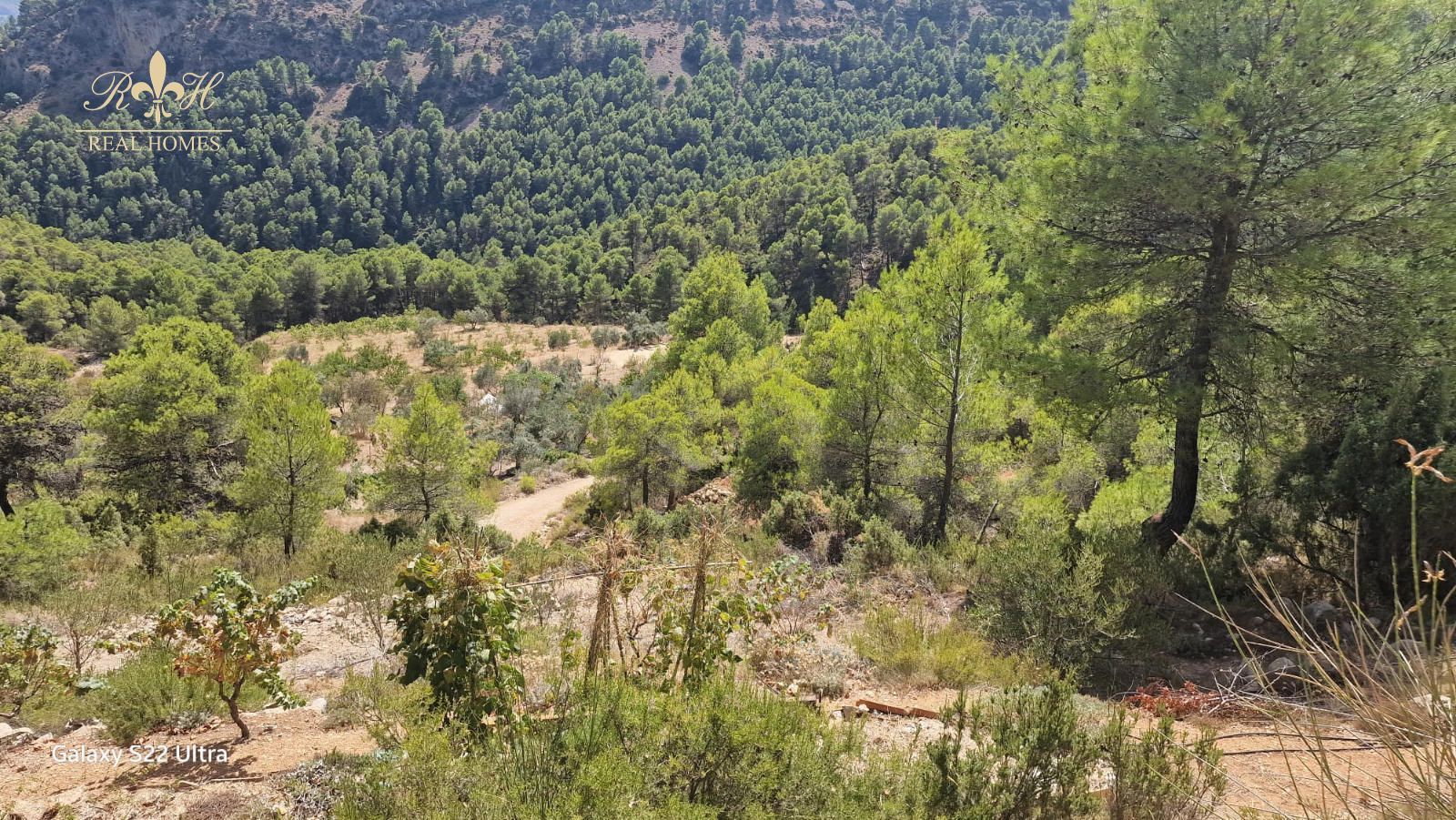 Casa de montaña con encanto en la Serrella (Confrides) - Foto 26
