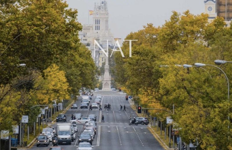 Piso en venta Madrid. Ref: 1110. The NAT Group