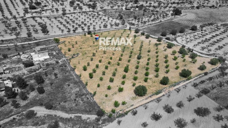 участок на продажу La Romana, Alicante. Ref: 2163. RE/MAX PRINCESS
