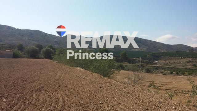 участок на продажу Orihuela, Alicante. Ref: 2166. RE/MAX PRINCESS