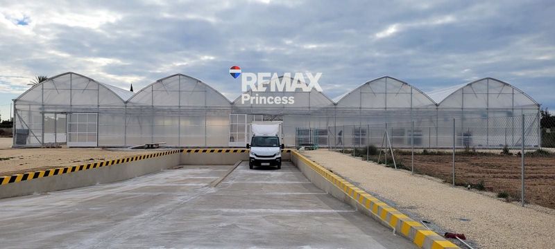 участок на продажу Elche/Elx, Alicante. Ref: 3530. RE/MAX PRINCESS