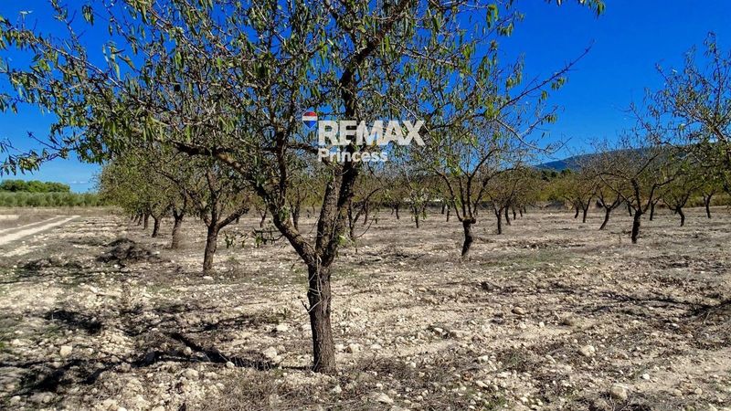 участок на продажу Villena, Alicante. Ref: 3586. RE/MAX PRINCESS