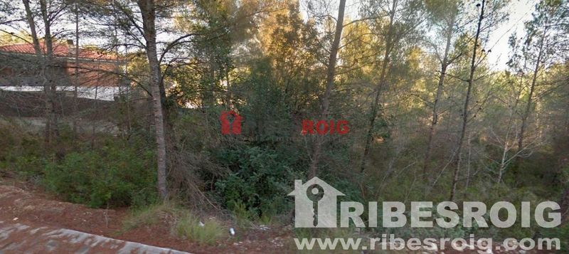 Parcela en venta Olivella, Barcelona. Ref: 1883. Ribes Roig Immobiliària