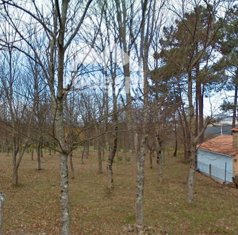 Parcela en venta Covelo, Pontevedra. Ref: 1096. Rodespi -  Soluciones Para el Rural