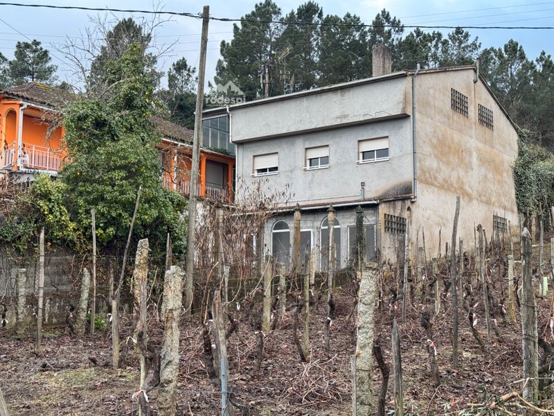 Chalet Independiente en venta Castrelo De Miño, Ourense. Ref: 1105. Rodespi -  Soluciones Para el Rural