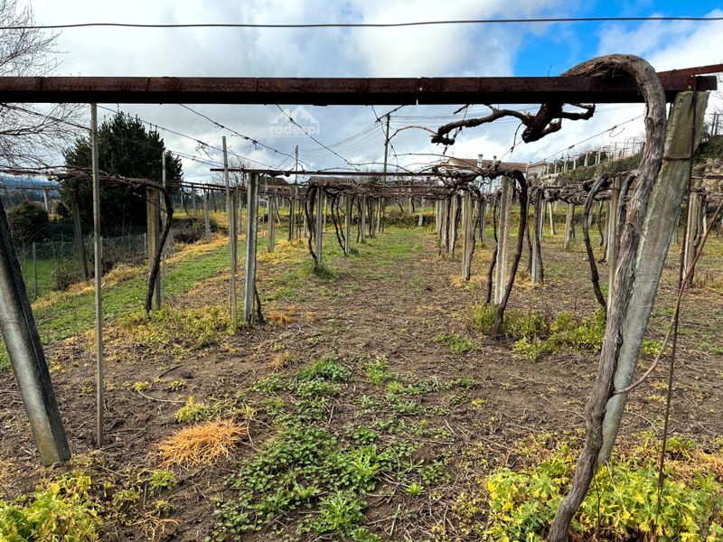 Parcela en venta Arbo, Pontevedra. Ref: 1153. Rodespi -  Soluciones Para el Rural