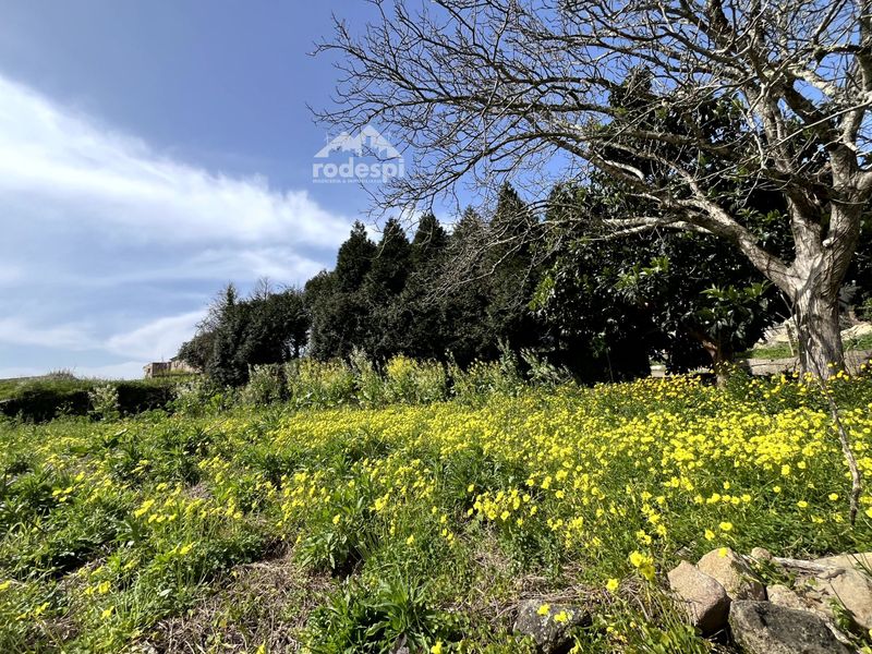 Parcela en venta Arbo, Pontevedra. Ref: 1169. Rodespi -  Soluciones Para el Rural