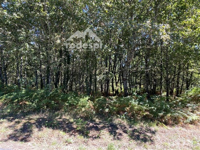 Parcela en venta A Cañiza, Pontevedra. Ref: 1210. Rodespi -  Soluciones Para el Rural