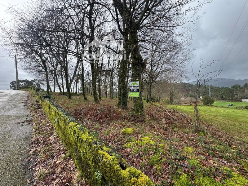 Parcela en venta Mondariz, Pontevedra. Ref: 1215. Rodespi -  Soluciones Para el Rural