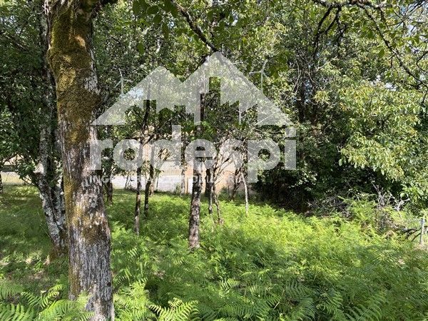 Parcela en venta Covelo, Pontevedra. Ref: 1216. Rodespi -  Soluciones Para el Rural