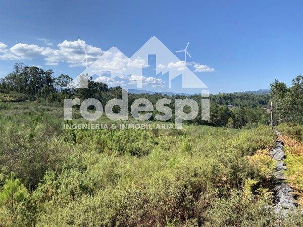 Parcela en venta Crecente, Pontevedra. Ref: 1253. Rodespi -  Soluciones Para el Rural