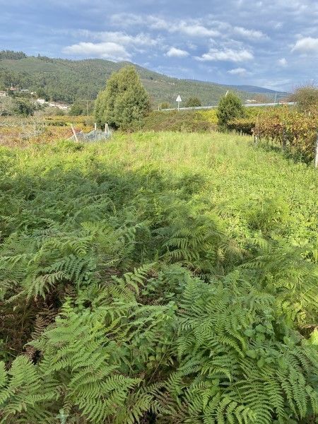 Parcela en venta Arbo, Pontevedra. Ref: 1286. Rodespi -  Soluciones Para el Rural