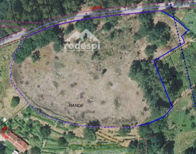 Parcela en venta Arbo, Pontevedra. Ref: 1331. Rodespi -  Soluciones Para el Rural
