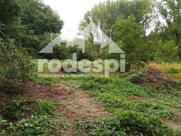 Parcela en venta Leiro, Ourense. Ref: 1362. Rodespi -  Soluciones Para el Rural
