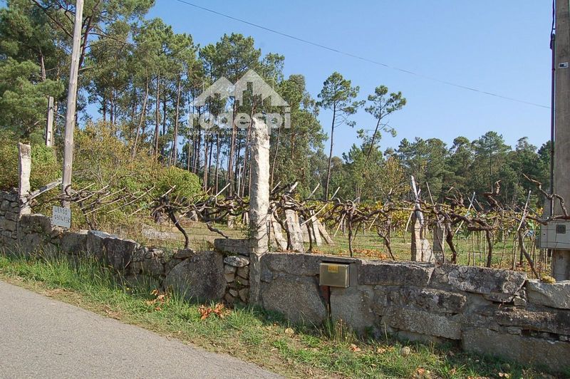 Parcela en venta Salvaterra De Miño, Pontevedra. Ref: 1450. Rodespi -  Soluciones Para el Rural