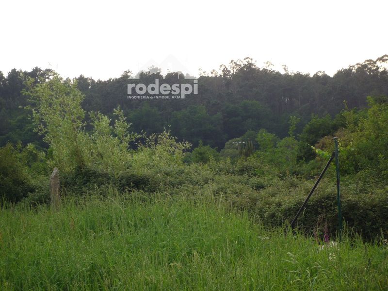 Parcela en venta Ponteareas, Pontevedra. Ref: 1481. Rodespi -  Soluciones Para el Rural