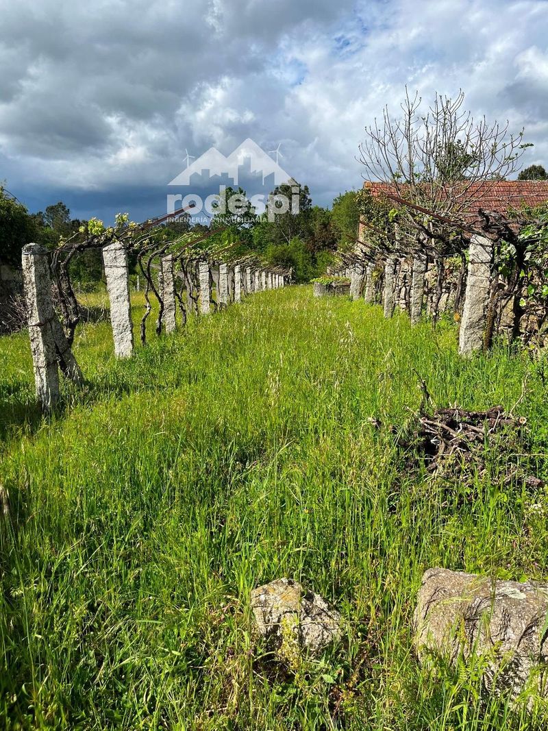 Parcela en venta Salvaterra De Miño, Pontevedra. Ref: 1496. Rodespi -  Soluciones Para el Rural