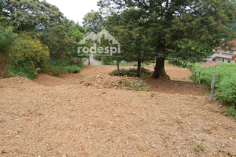 Parcela en venta Mondariz, Pontevedra. Ref: 1499. Rodespi -  Soluciones Para el Rural