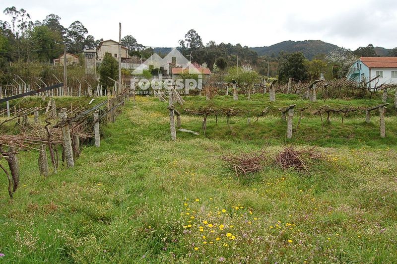 Parcela en venta Neves, As, Pontevedra. Ref: 1502. Rodespi -  Soluciones Para el Rural